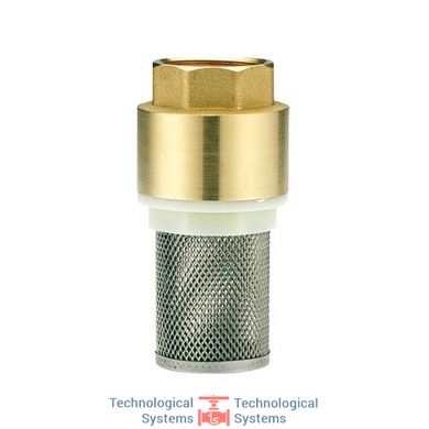 Клапан зворотний з сітчастим фільтром з нержавіючої сталі 3" Ду 80 (IVR 923)1