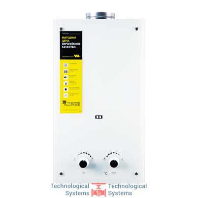 Газовая колонка Thermo Alliance дымоходная JSD20-10GE 10 л стекло (белое)1